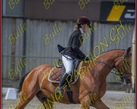 BULLE 0274